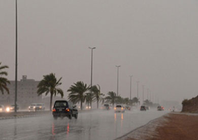 هطول المطر برفح